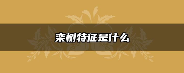 栾树特征是什么