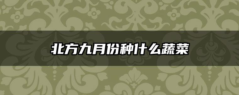 北方九月份种什么蔬菜