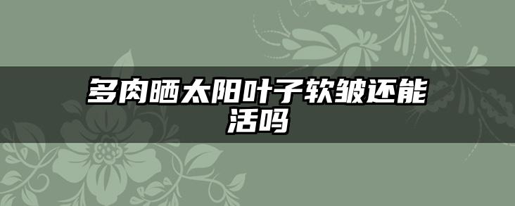 多肉晒太阳叶子软皱还能活吗