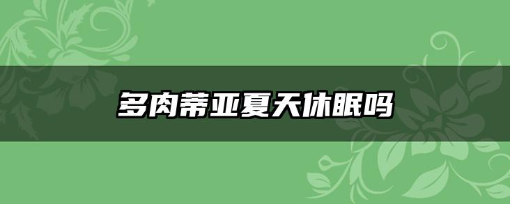 多肉蒂亚夏天休眠吗