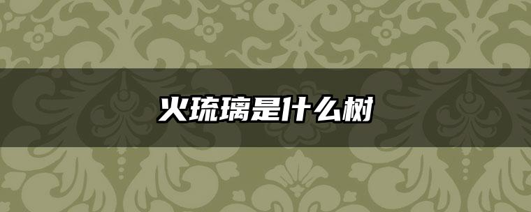 火琉璃是什么树