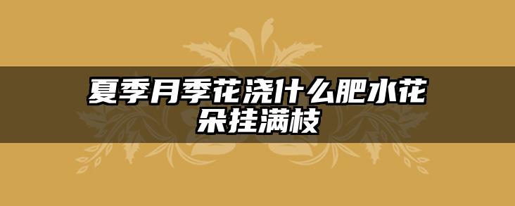 夏季月季花浇什么肥水花朵挂满枝