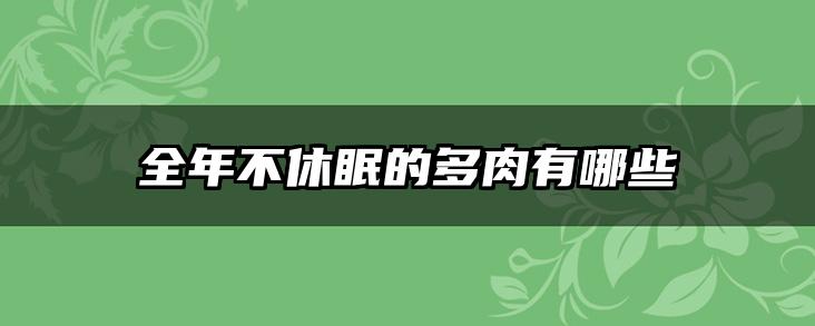 全年不休眠的多肉有哪些