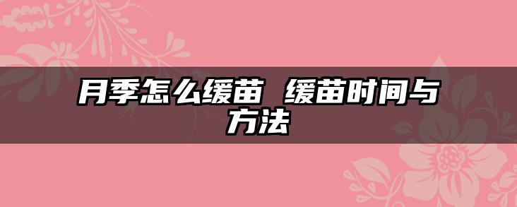 月季怎么缓苗 缓苗时间与方法