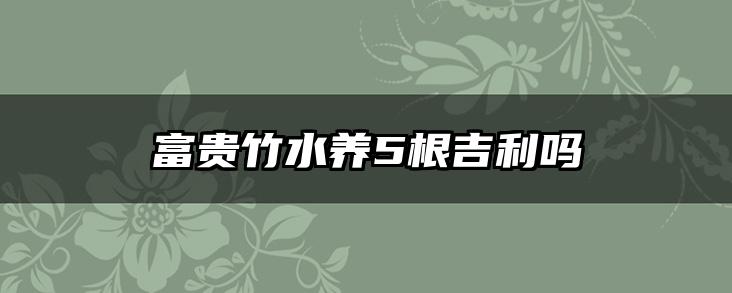 富贵竹水养5根吉利吗