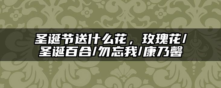 圣诞节送什么花，玫瑰花/圣诞百合/勿忘我/康乃馨