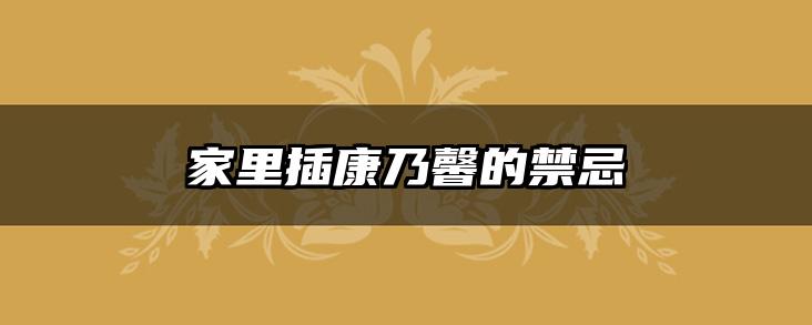 家里插康乃馨的禁忌