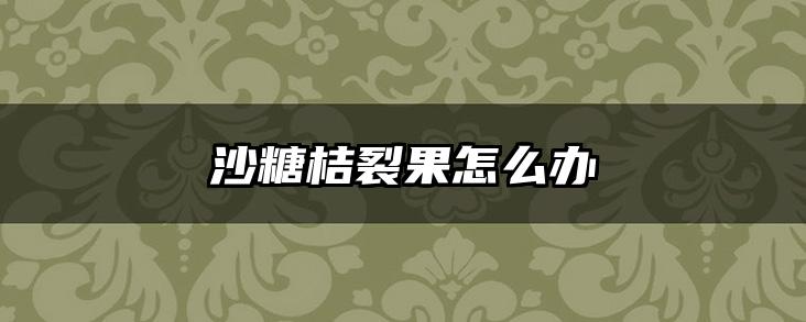 沙糖桔裂果怎么办