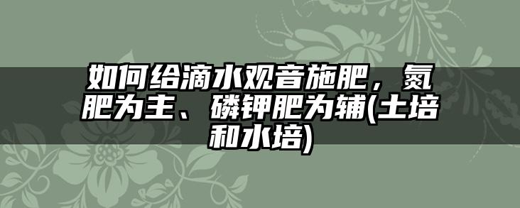 如何给滴水观音施肥,氮肥为主、磷钾肥为辅(土培和水培)