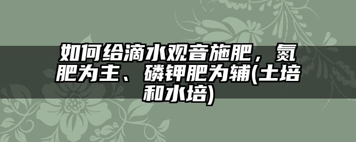 如何给滴水观音施肥，氮肥为主、磷钾肥为辅(土培和水培)