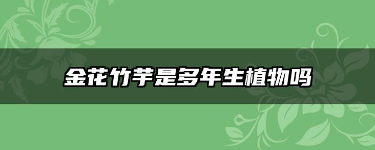金花竹芋是多年生植物吗