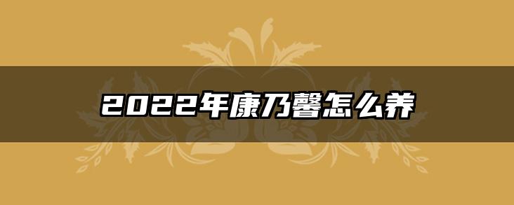 2022年康乃馨怎么养