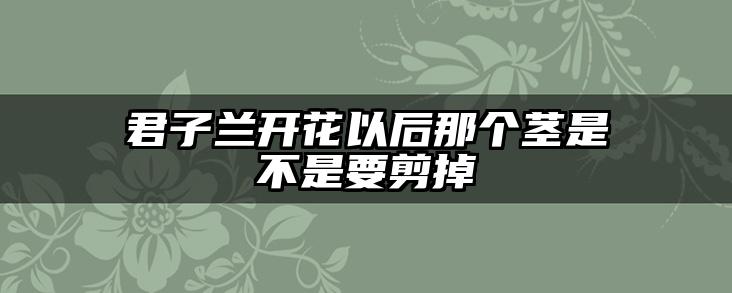 君子兰开花以后那个茎是不是要剪掉