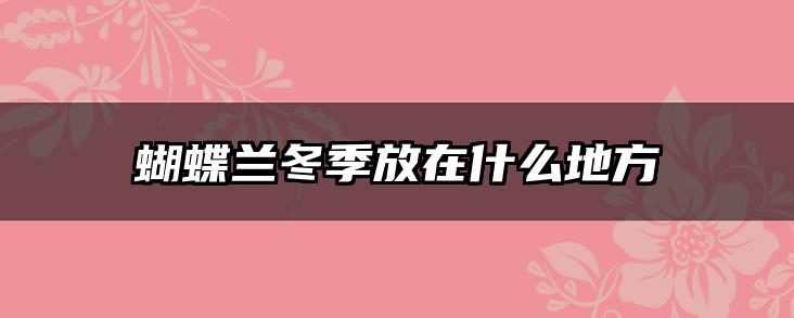 蝴蝶兰冬季放在什么地方