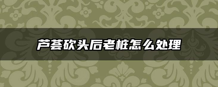 芦荟砍头后老桩怎么处理