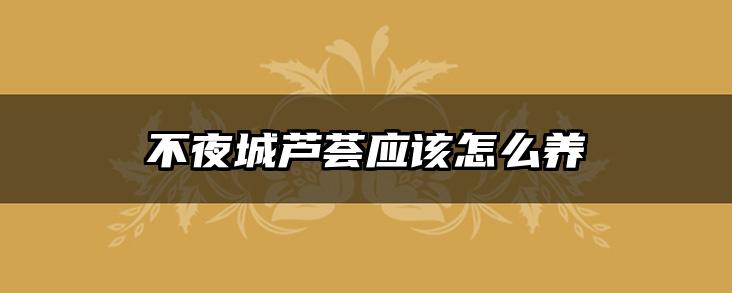 不夜城芦荟应该怎么养