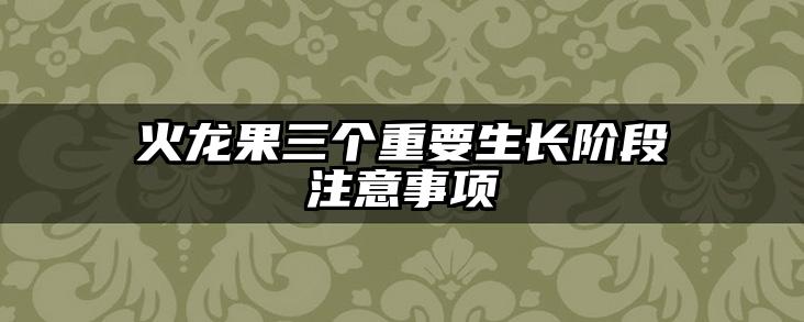 火龙果三个重要生长阶段注意事项
