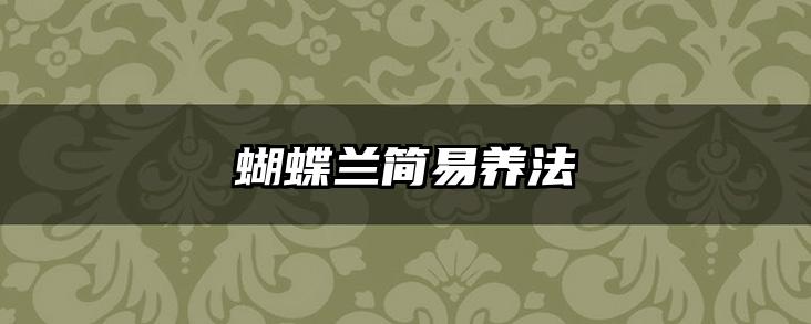 蝴蝶兰简易养法