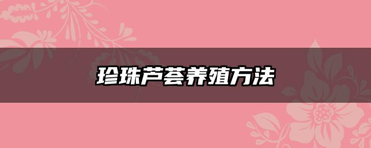 珍珠芦荟养殖方法