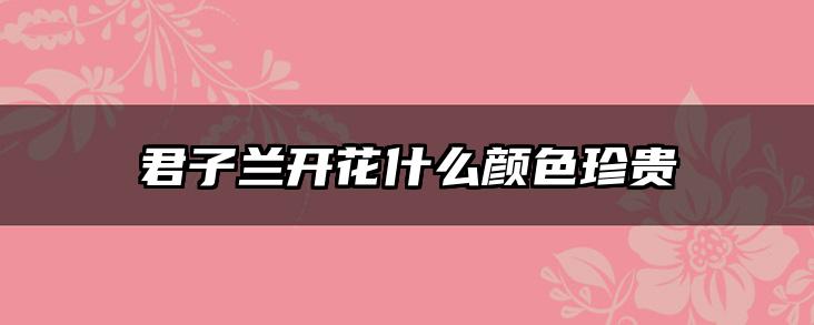 君子兰开花什么颜色珍贵