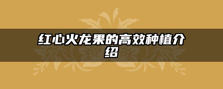 红心火龙果的高效种植介绍