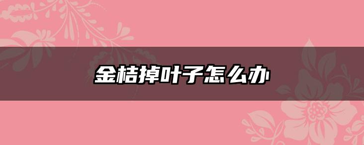 金桔掉叶子怎么办