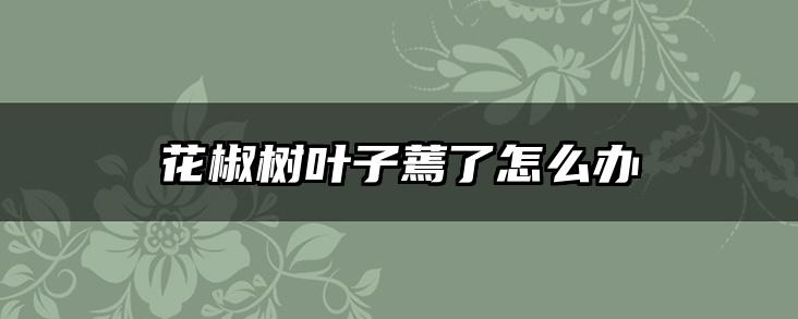 花椒树叶子蔫了怎么办