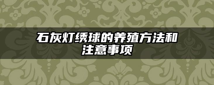 石灰灯绣球的养殖方法和注意事项