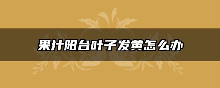 果汁阳台叶子发黄怎么办