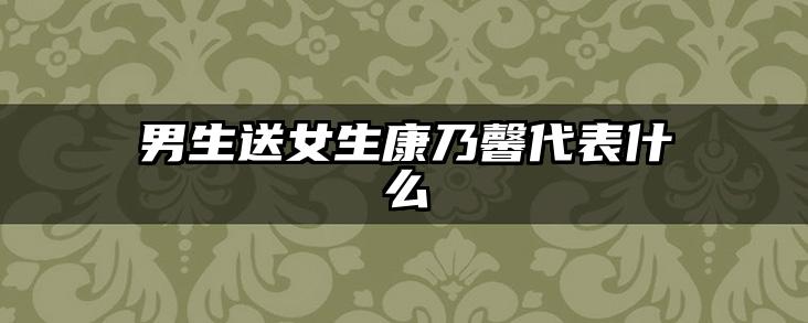 男生送女生康乃馨代表什么