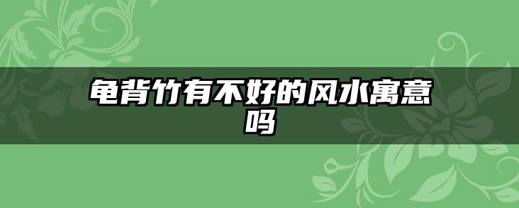 龟背竹有不好的风水寓意吗