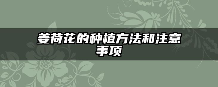 姜荷花的种植方法和注意事项