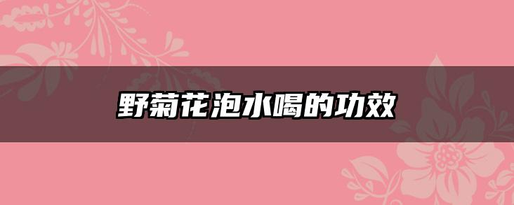 野菊花泡水喝的功效