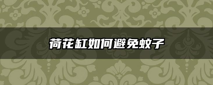 荷花缸如何避免蚊子