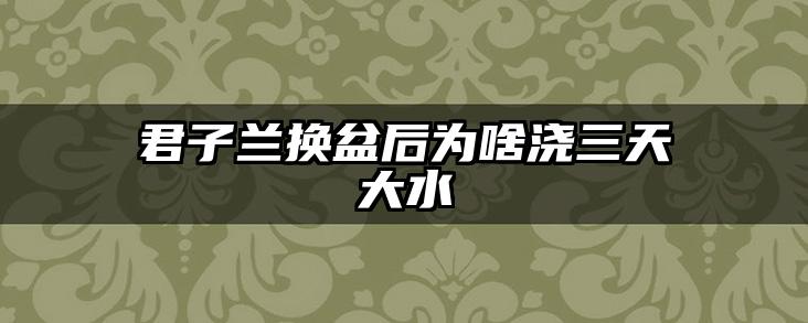 君子兰换盆后为啥浇三天大水
