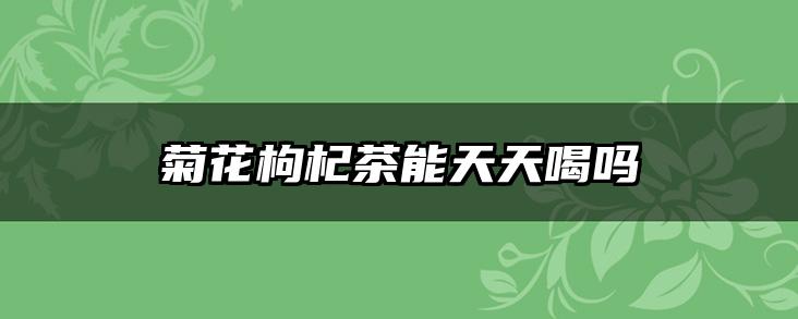 菊花枸杞茶能天天喝吗