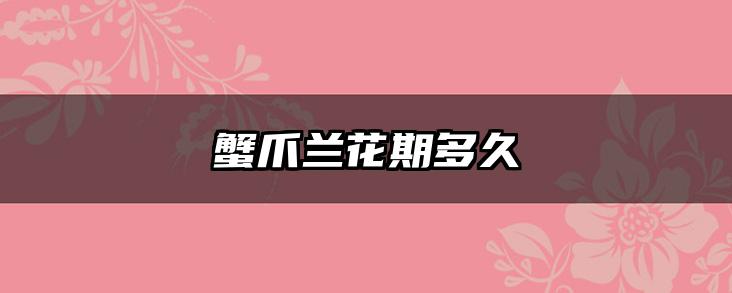 蟹爪兰花期多久