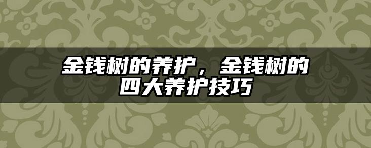 金钱树的养护,金钱树的四大养护技巧