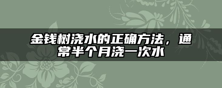 金钱树浇水的正确方法，通常半个月浇一次水