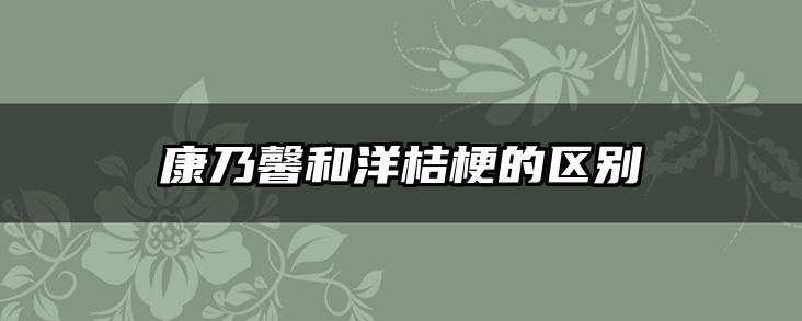 康乃馨和洋桔梗的区别