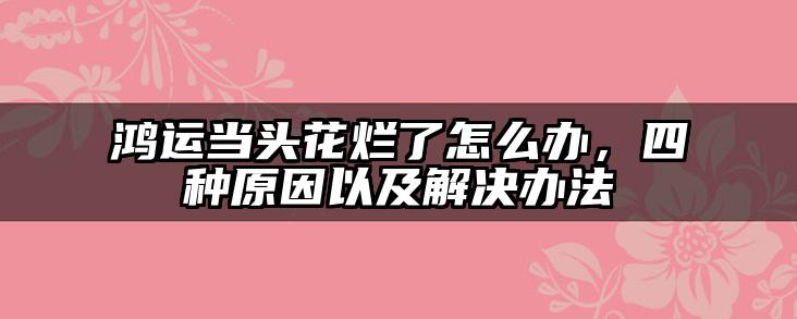 鸿运当头花烂了怎么办,四种原因以及解决办法