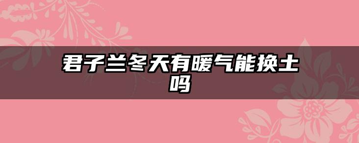 君子兰冬天有暖气能换土吗