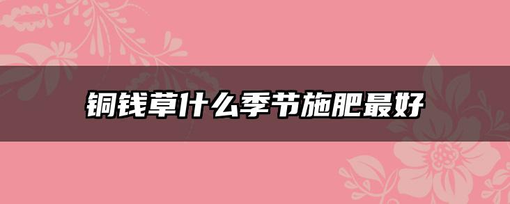 铜钱草什么季节施肥最好