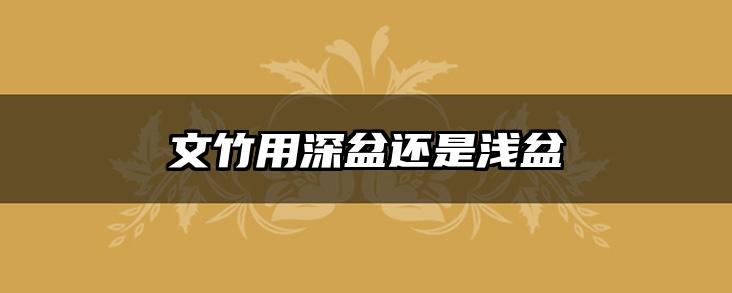 文竹用深盆还是浅盆