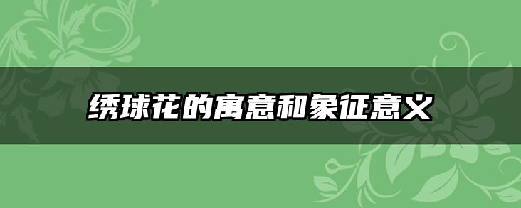 绣球花的寓意和象征意义