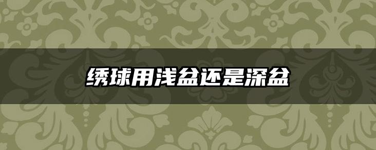 绣球用浅盆还是深盆