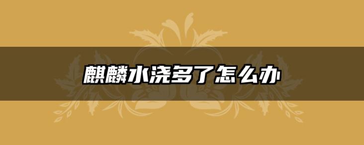 麒麟水浇多了怎么办