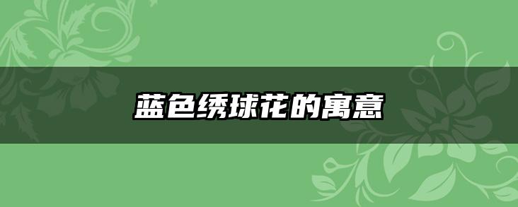 蓝色绣球花的寓意