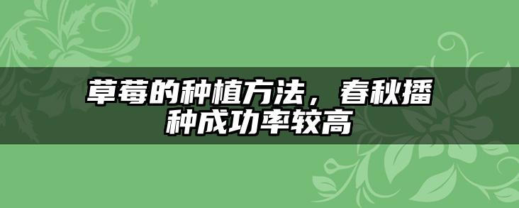 草莓的种植方法,春秋播种成功率较高