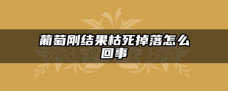 葡萄刚结果枯死掉落怎么回事